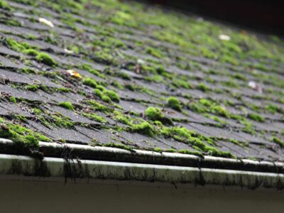 Local Roof moss removal contractors Worthing