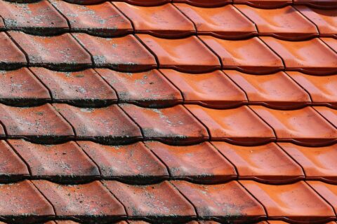 Roof Cleaner Worthing