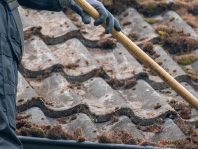 Roof moss removal company Worthing