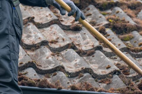 West Sussex Roof Moss Removal Experts
