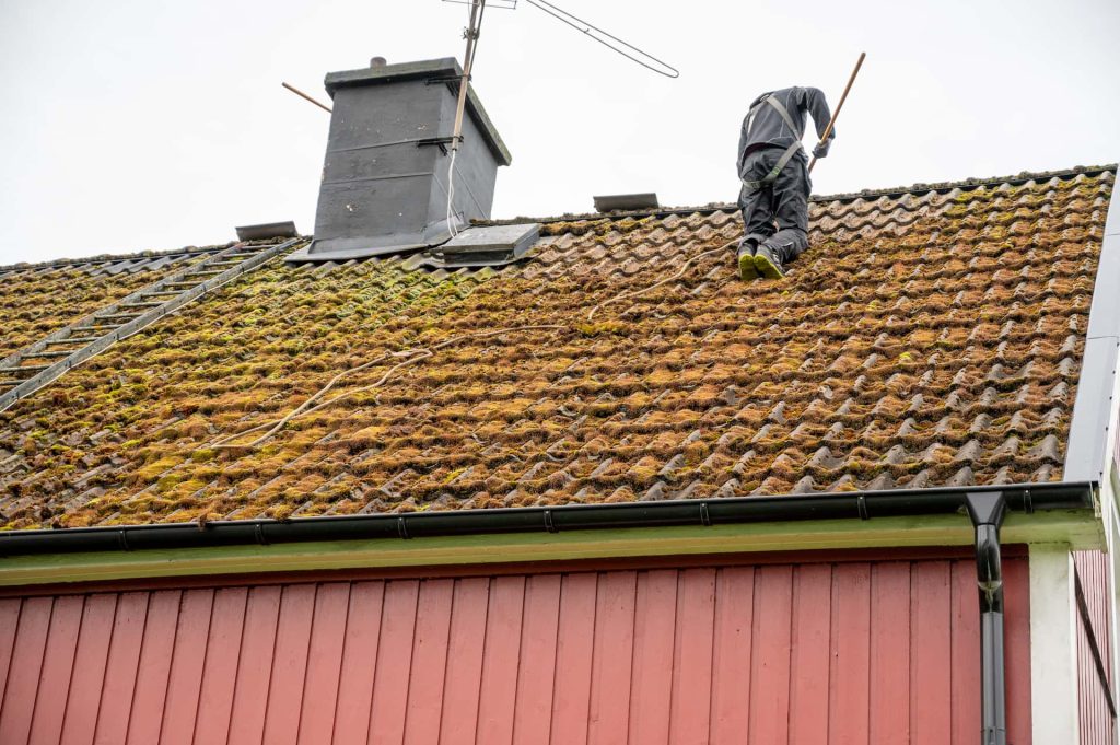 West Sussex roof moss removal