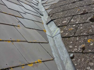 Roof moss remover Worthing